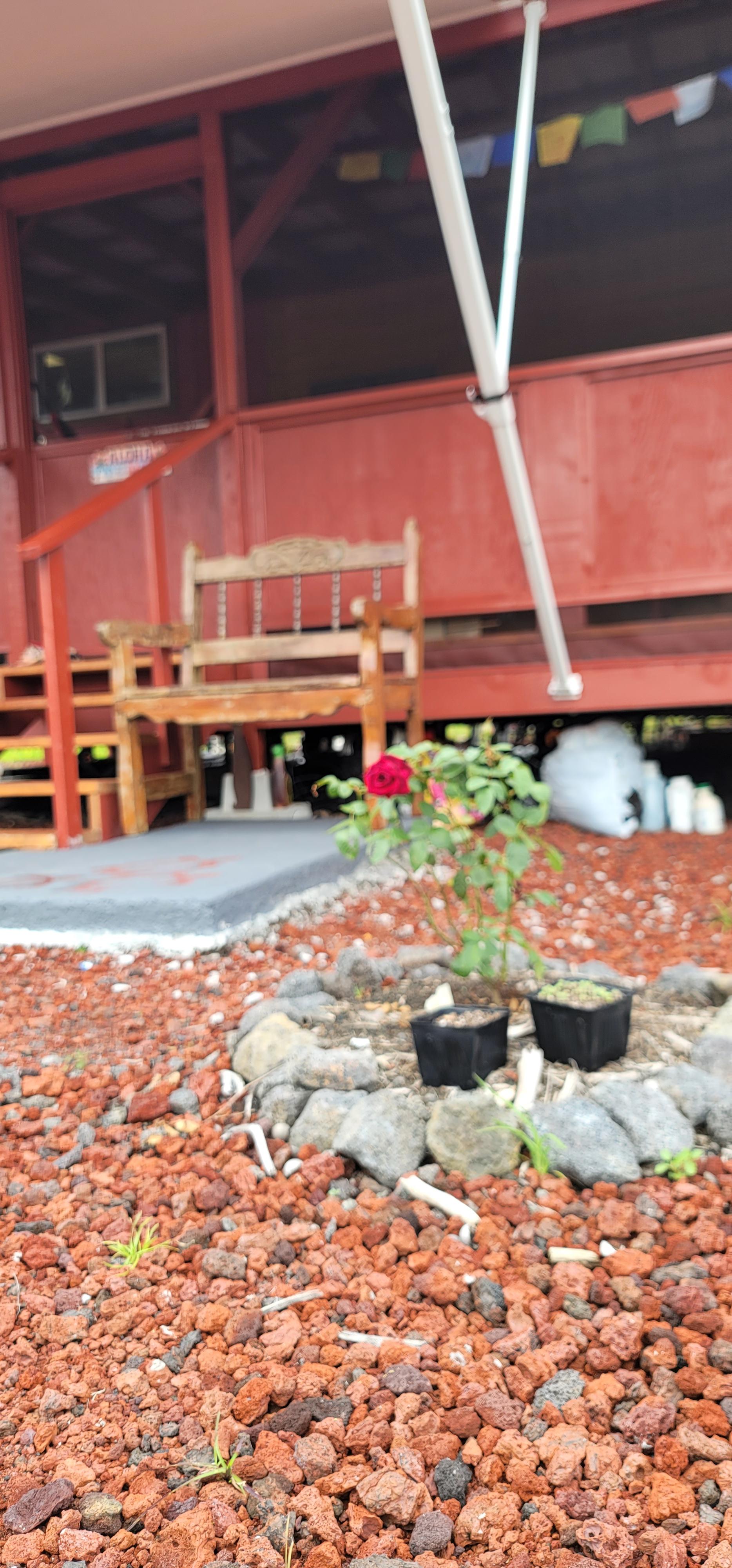 aromatic plants around the Lanai make sure all senses are seduced